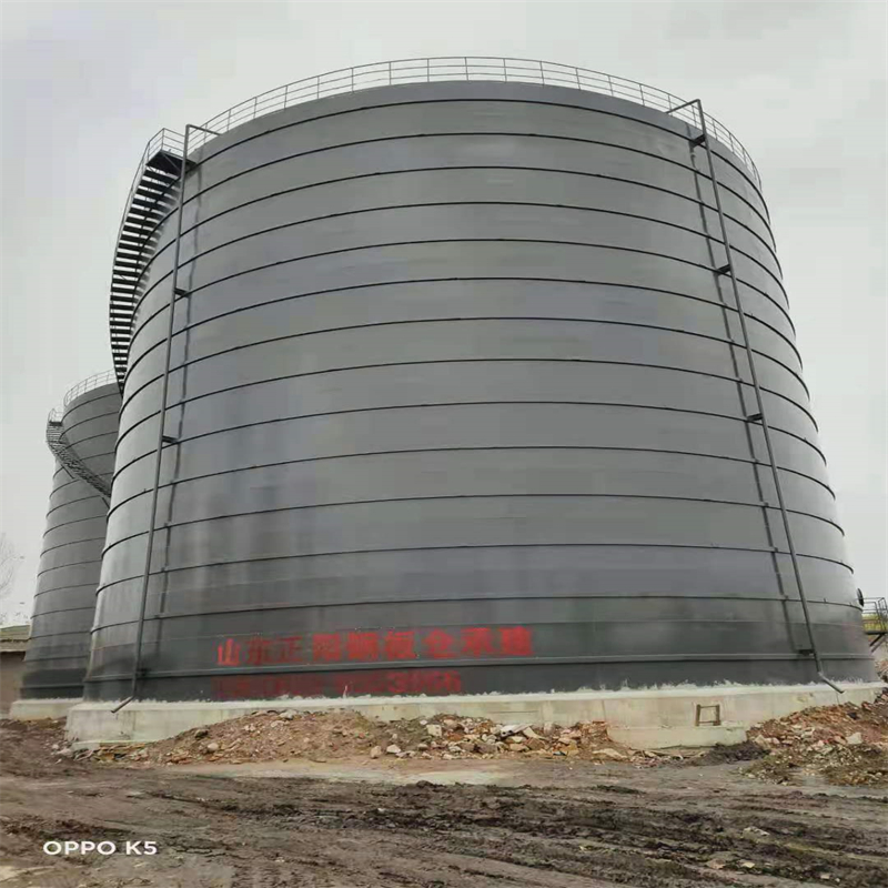 宁强3万吨大型钢板库